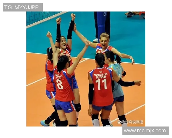 武汉排球队速度对比深度解析与战术影响探讨