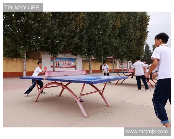 王丽独家揭秘乒乓球技巧与心得分享助你提升球技的秘诀