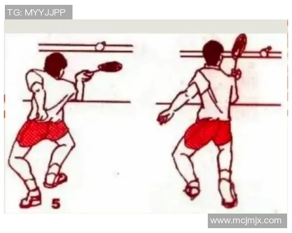 羽毛球战术解析：探秘北京羽毛球队的防守与反击体系