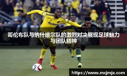 熊猫体育