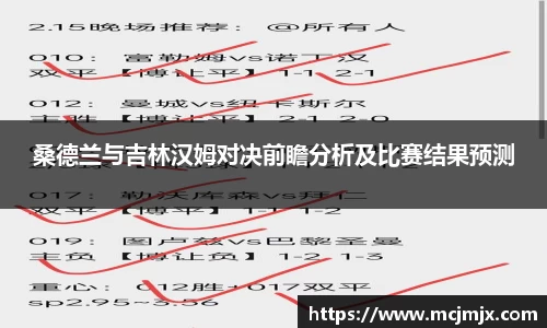 熊猫体育官网