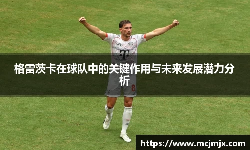熊猫体育